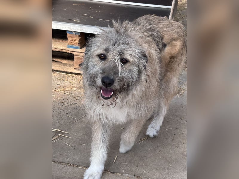 Thea – leise am Anfang, ganz groß im Herzen