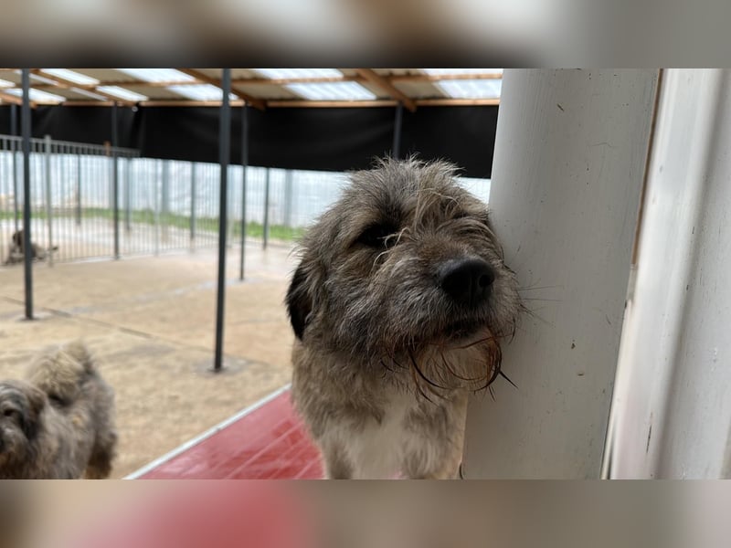 Thea – leise am Anfang, ganz groß im Herzen