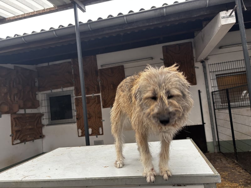 Thea – leise am Anfang, ganz groß im Herzen