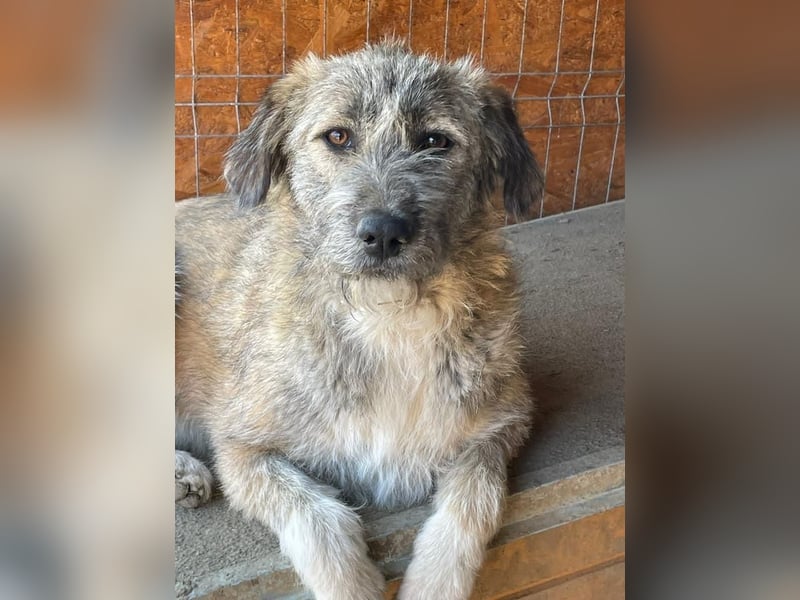 Thea – leise am Anfang, ganz groß im Herzen