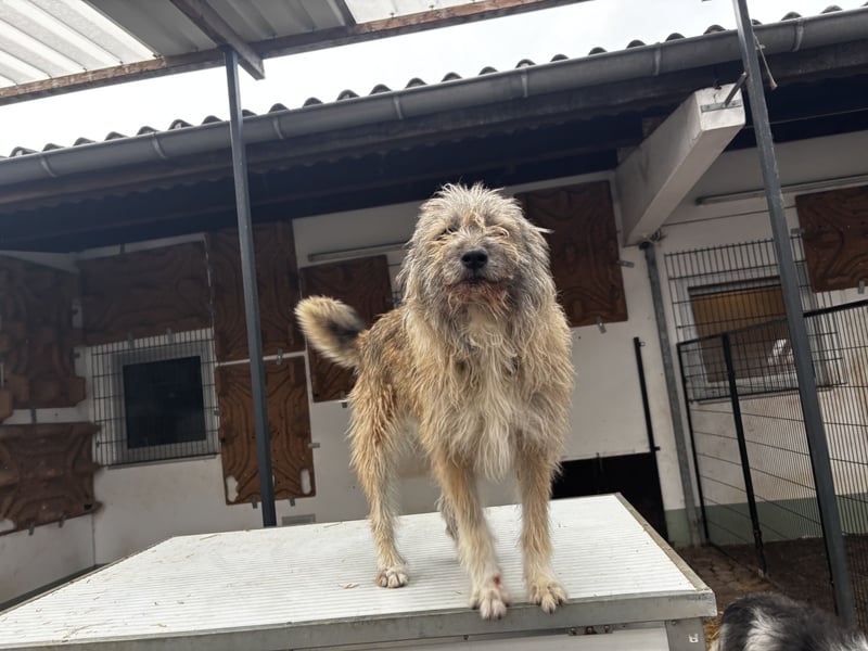 Thea – leise am Anfang, ganz groß im Herzen