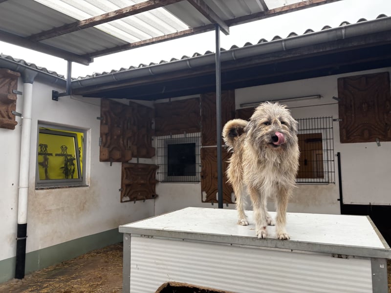 Thea – leise am Anfang, ganz groß im Herzen