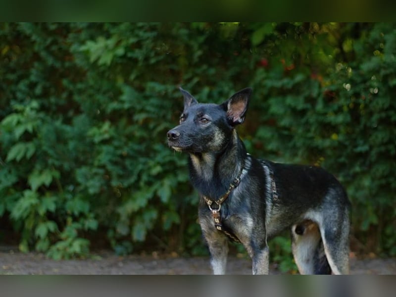 Grobi sucht erfahrene Menschen