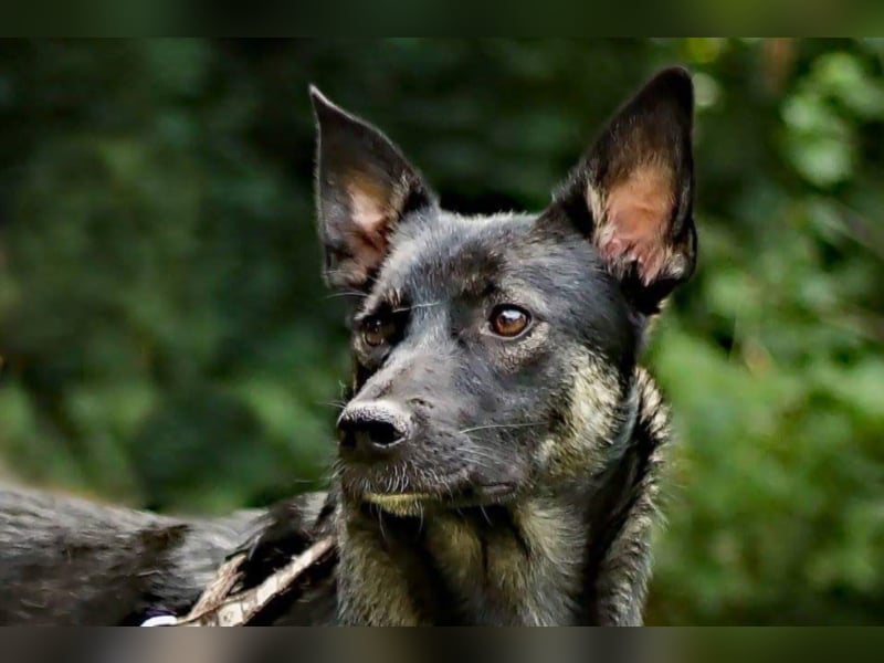 Grobi sucht erfahrene Menschen