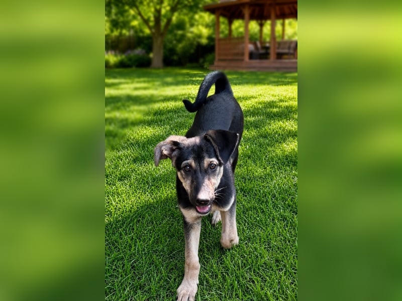 Lucy