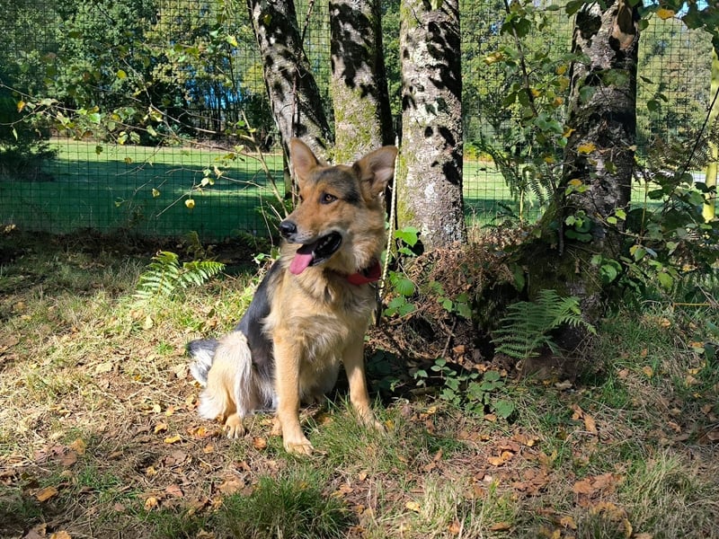 Milka