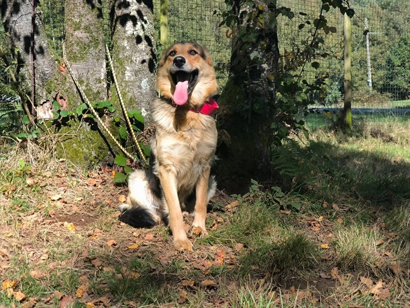 Milka