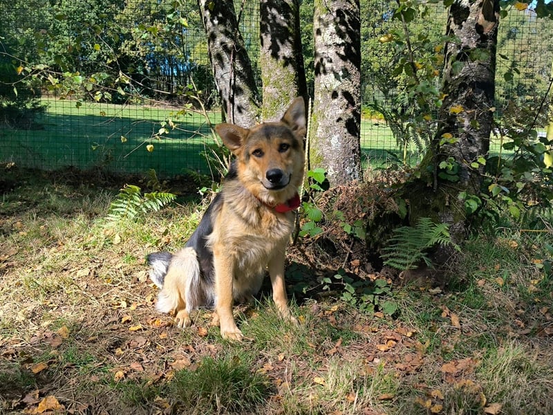 Milka