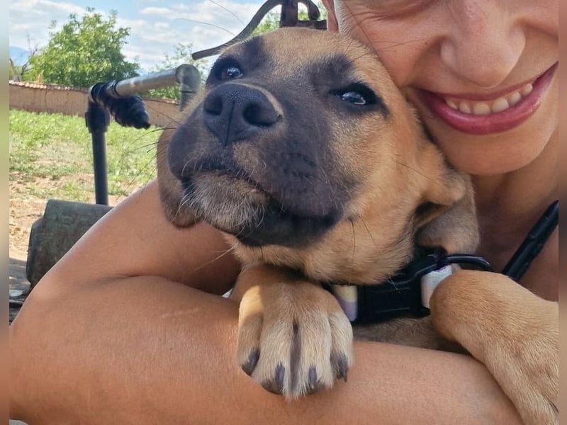 Sonja