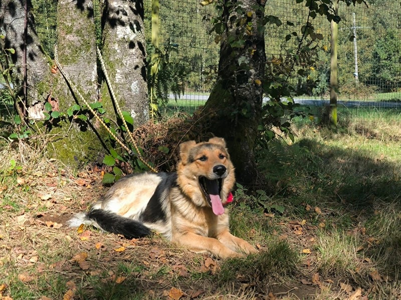 Milka