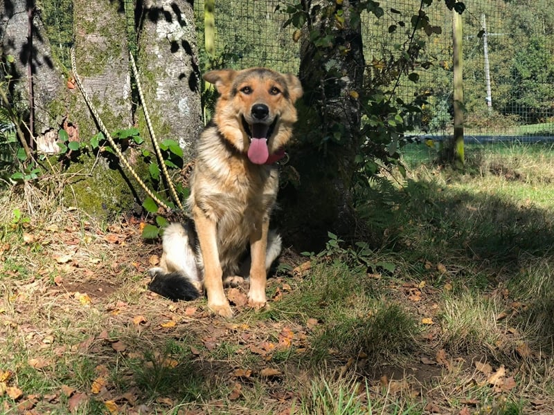 Milka