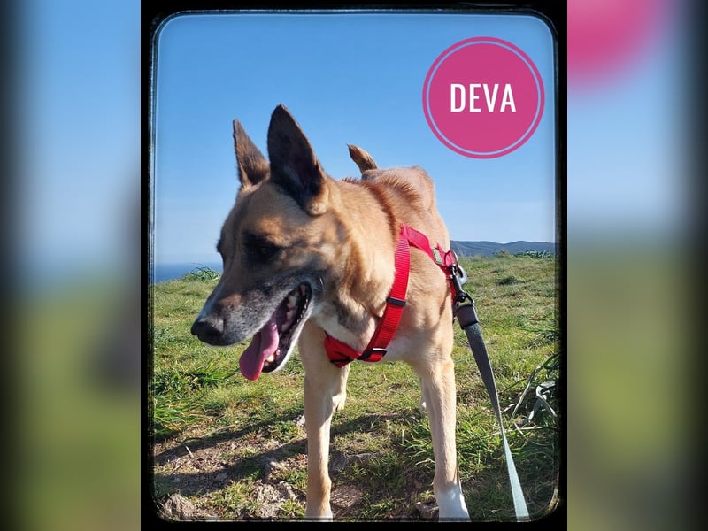 Deva