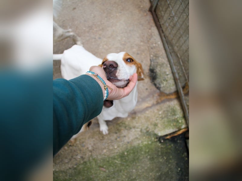 TAKITA lebensfroh, freundlich, für jeden Spaß zu haben