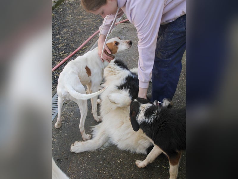 TAKITA lebensfroh, freundlich, für jeden Spaß zu haben