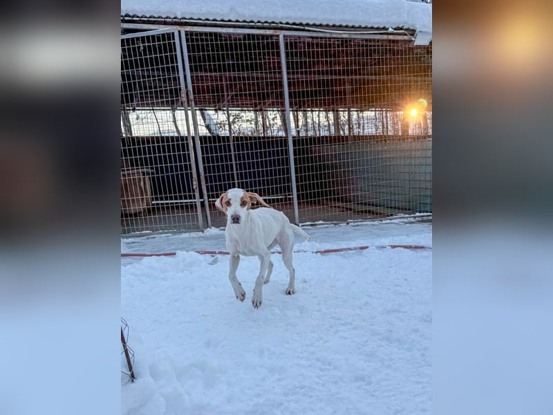 TAKITA lebensfroh, freundlich, für jeden Spaß zu haben