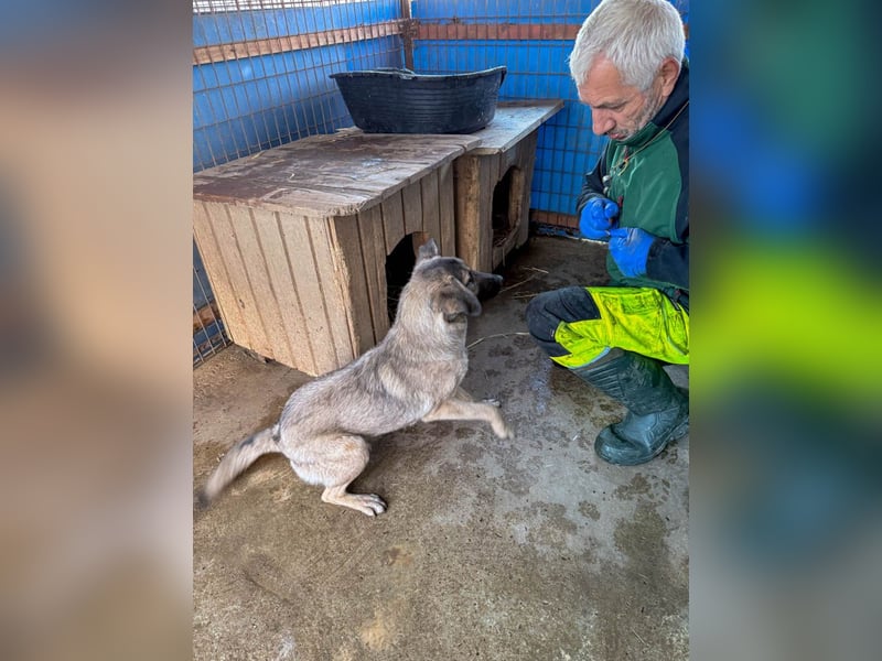 Lebensfrohe JOSEPHINE bezaubert durch ihre fröhliche und liebe Art
