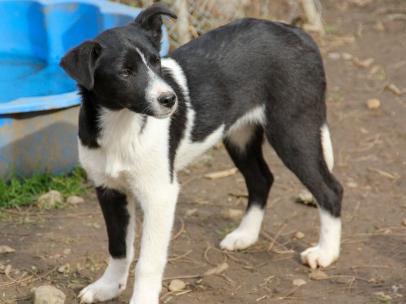 Charmante CHANTAL ist noch etwas zurückhaltend