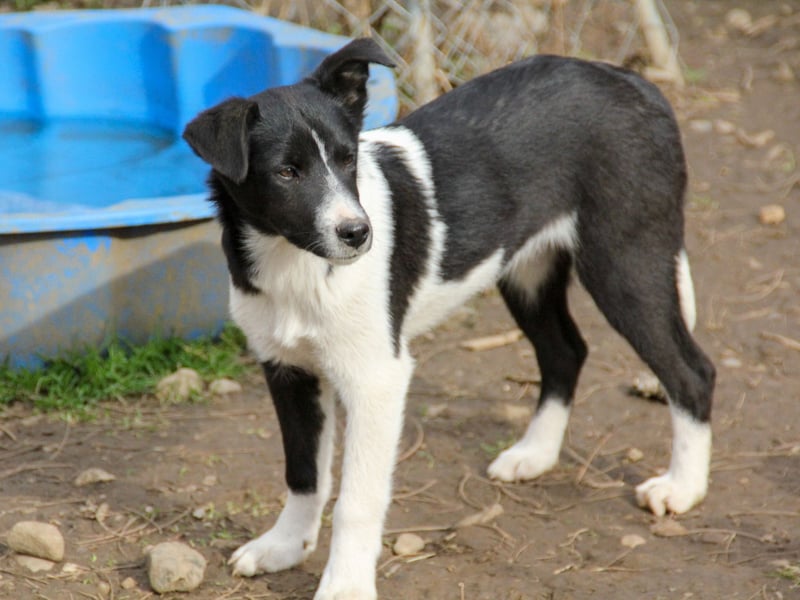 Charmante CHANTAL ist noch etwas zurückhaltend