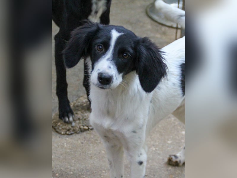 Zuckersüße IRENA bezaubert durch ihre fröhliche Art