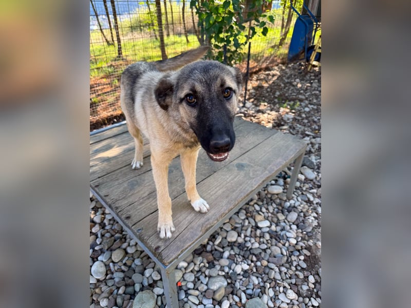 Zuckersüße JOSEPHINE bezaubert durch ihre fröhliche Art