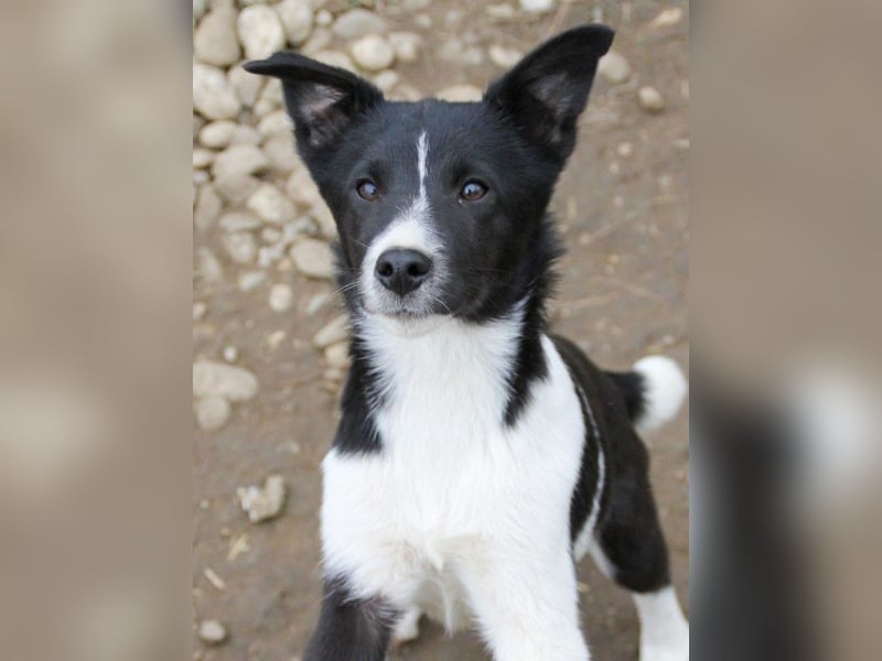 Charmante CHANTAL ist noch etwas zurückhaltend