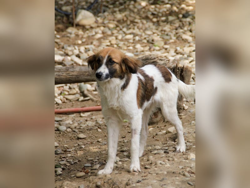 WILHELM, lebensfroher Weltentdecker WILHELM, lebensfroher Weltentdecker