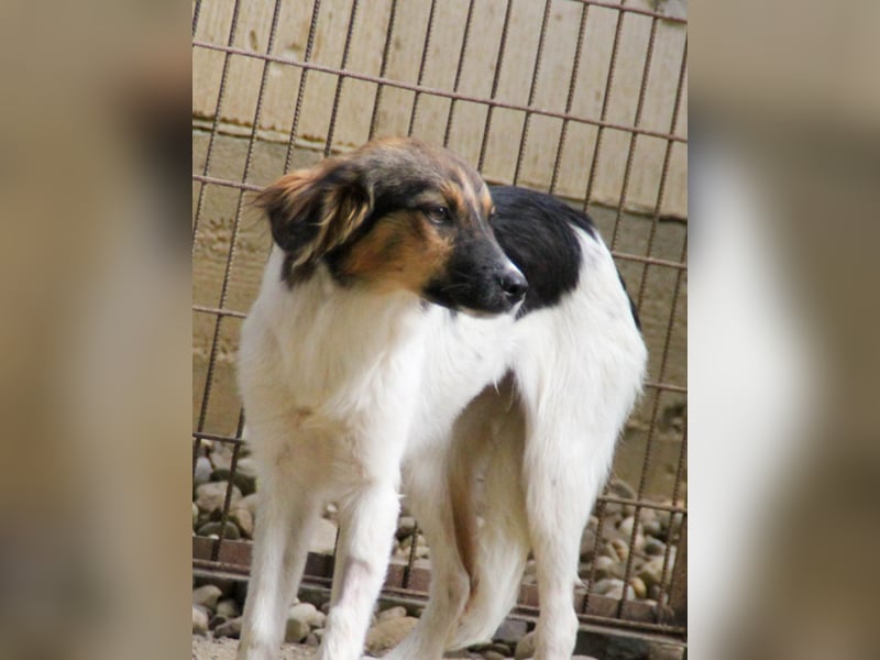 Herzensmensch gesucht - liebe JUILIANA hofft auf ihr Glück