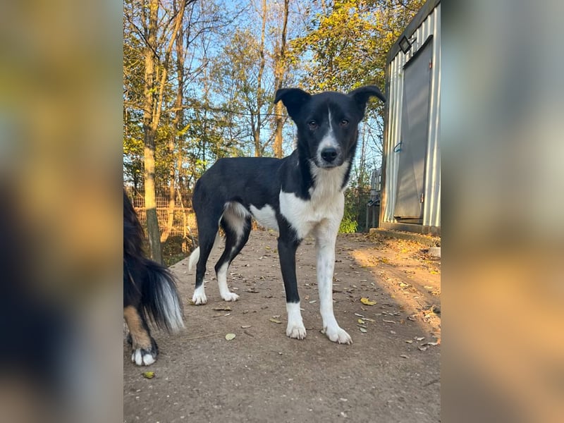 Charmante CHANTAL ist noch etwas zurückhaltend