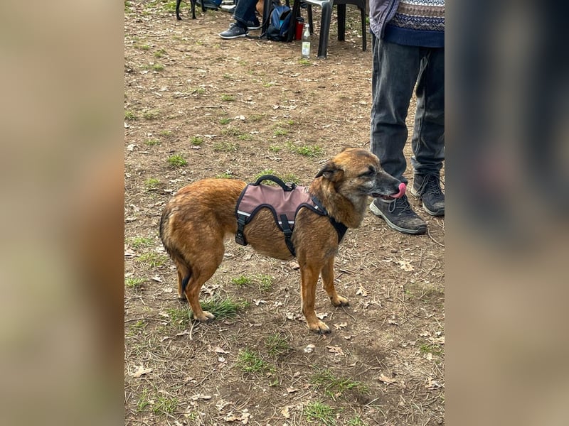 bezaubernde NISHA wartet bereits in Erlangen auf DICH