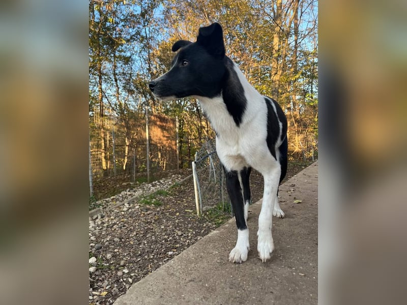 Charmante CHANTAL ist noch etwas zurückhaltend