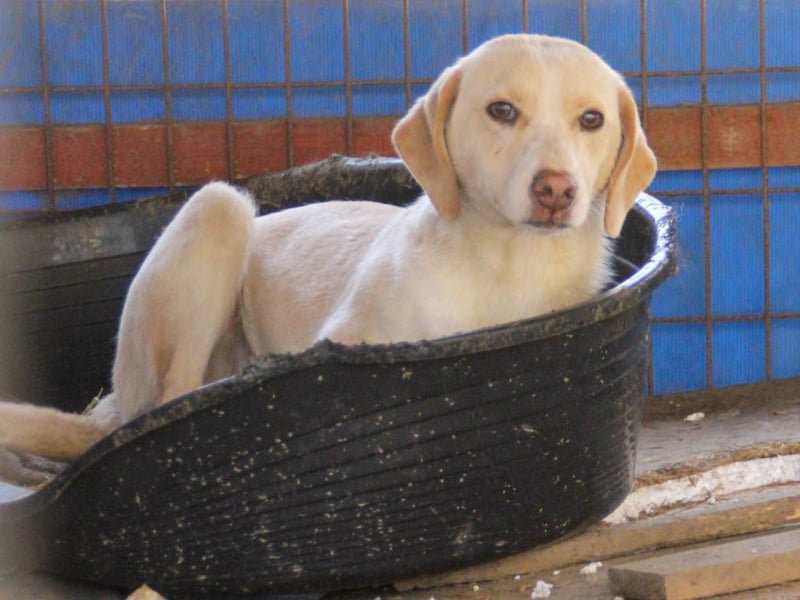 Bezaubernde MAGDALENA wäre gerne ein geliebtes Familienmitglied