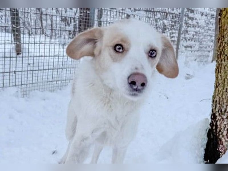 Lebensfrohe LIMA bezaubert durch ihre fröhliche und liebe Art