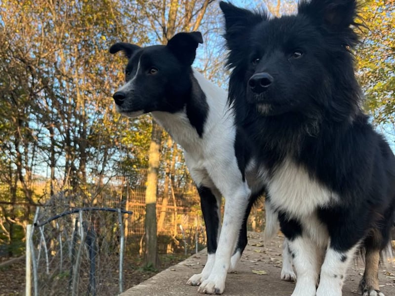 Charmante CHANTAL ist noch etwas zurückhaltend