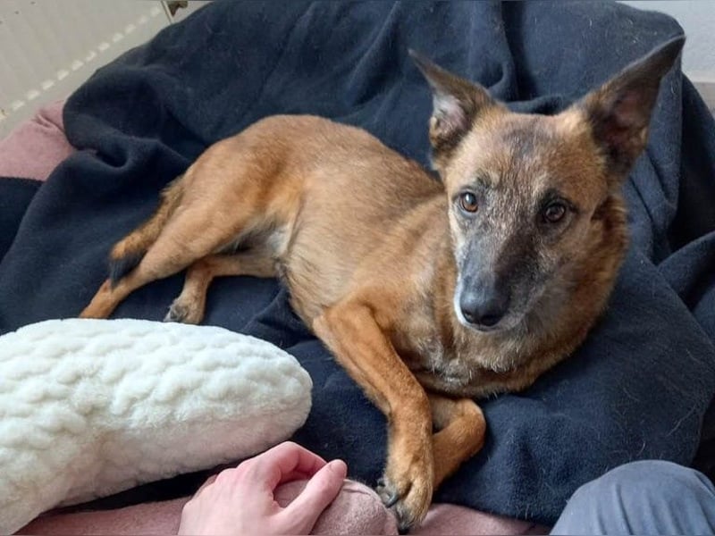 NISHA bezaubernd, liebesbedürftig, wundervoll such nach DIR