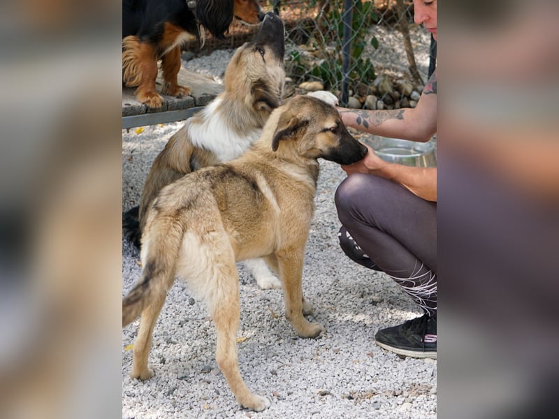 Zuckersüße JOSEPHINE bezaubert durch ihre fröhliche Art