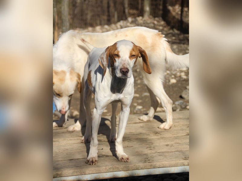 TAKITA lebensfroh, freundlich, für jeden Spaß zu haben