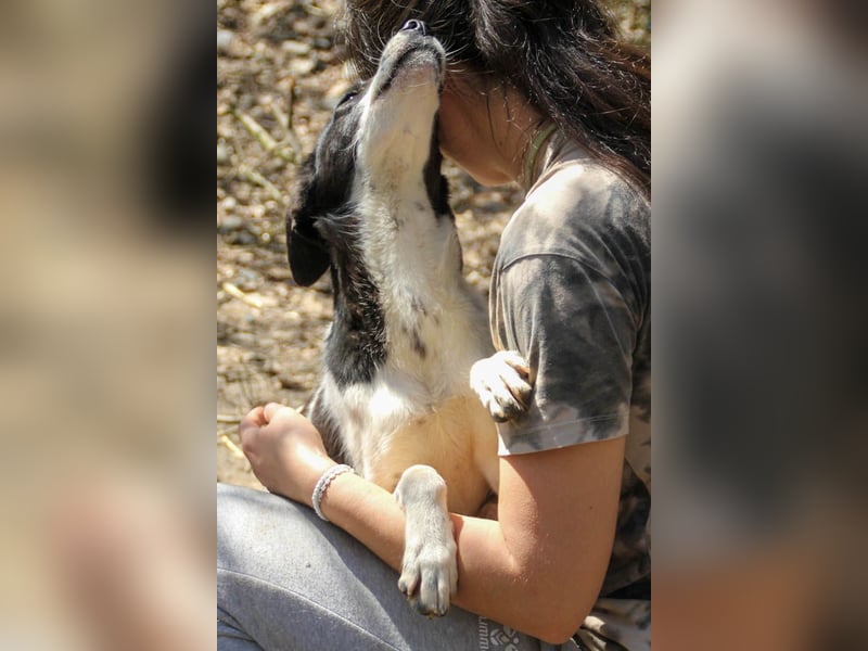 Halli-Hallo, ich bin der zuckersüße ILIAS und suche ein liebevolles Zuhause