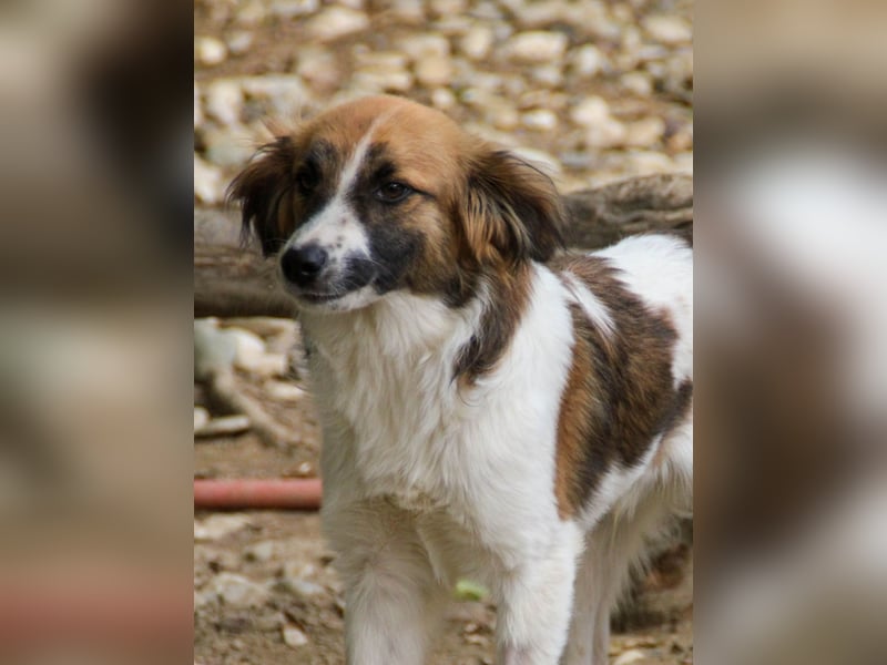 WILHELM, lebensfroher Weltentdecker WILHELM, lebensfroher Weltentdecker