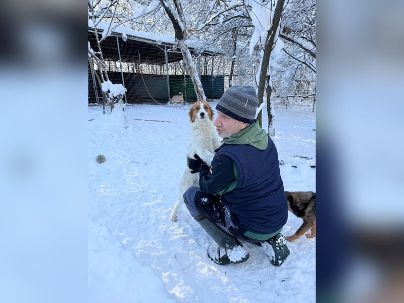 Fröhlicher Traumprinz FRIEDRICH möchte dich verzaubern