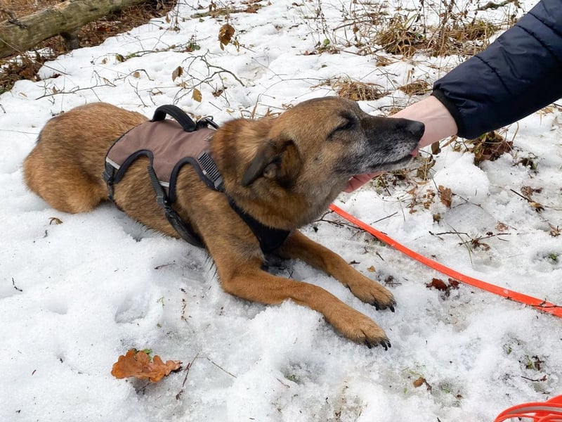 NISHA bezaubernd, liebesbedürftig, wundervoll such nach DIR