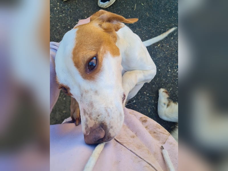 TAKITA lebensfroh, freundlich, für jeden Spaß zu haben