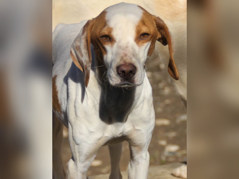 TAKITA lebensfroh, freundlich, für jeden Spaß zu haben