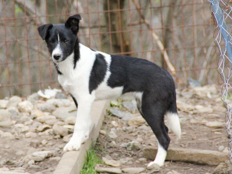 Charmante CHANTAL ist noch etwas zurückhaltend