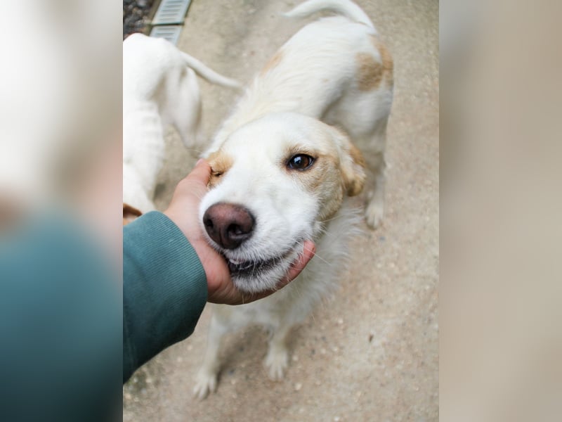 Lebensfrohe LIMA bezaubert durch ihre fröhliche und liebe Art