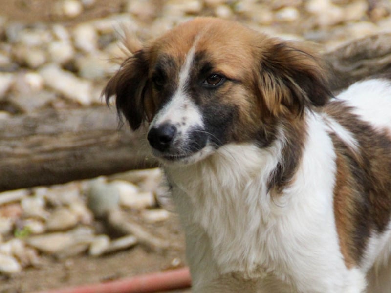 WILHELM, lebensfroher Weltentdecker WILHELM, lebensfroher Weltentdecker