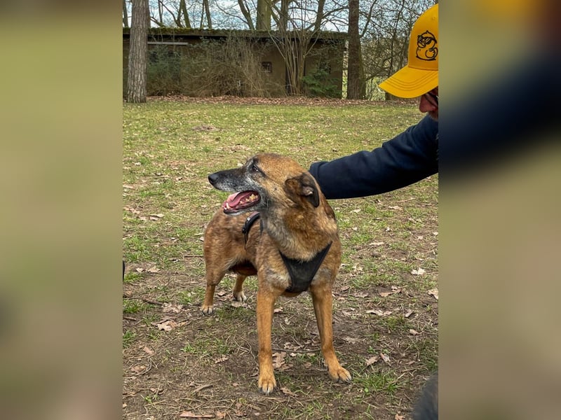 bezaubernde NISHA wartet bereits in Erlangen auf DICH