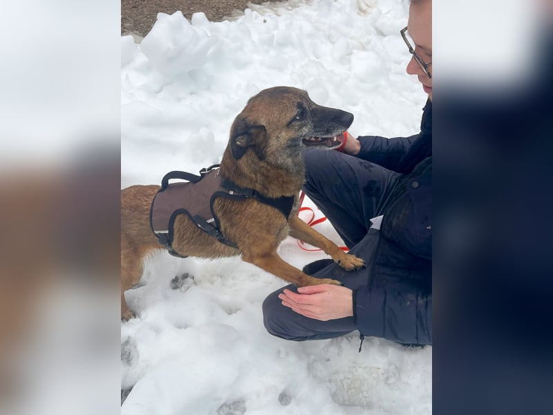 NISHA bezaubernd, liebesbedürftig, wundervoll such nach DIR