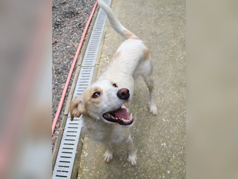 Lebensfrohe LIMA bezaubert durch ihre fröhliche und liebe Art