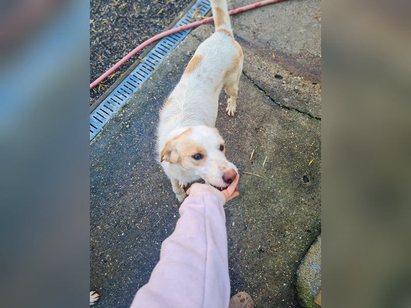 Lebensfrohe LIMA bezaubert durch ihre fröhliche und liebe Art