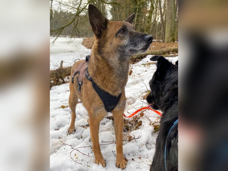 NISHA bezaubernd, liebesbedürftig, wundervoll such nach DIR